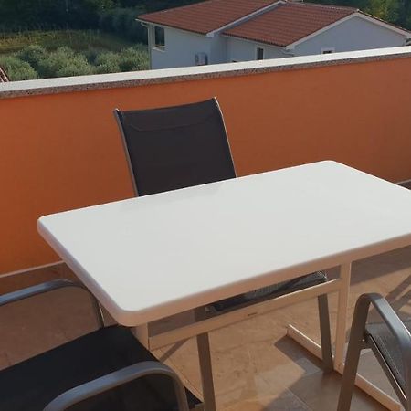 Apartmani Citrus Novigrad Filipac 외부 사진
