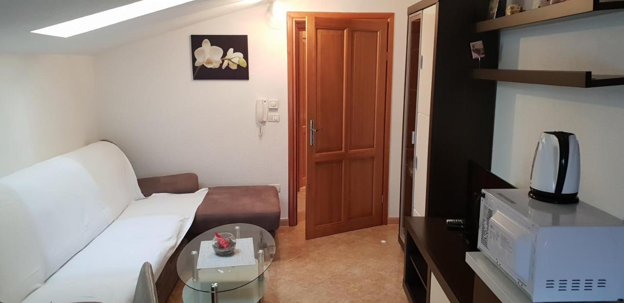 Apartmani Citrus Novigrad Filipac 외부 사진