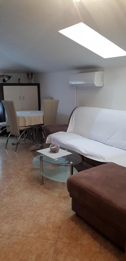 Apartmani Citrus Novigrad Filipac 외부 사진