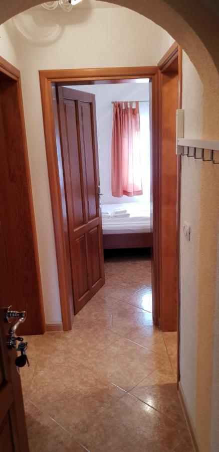 Apartmani Citrus Novigrad Filipac 외부 사진