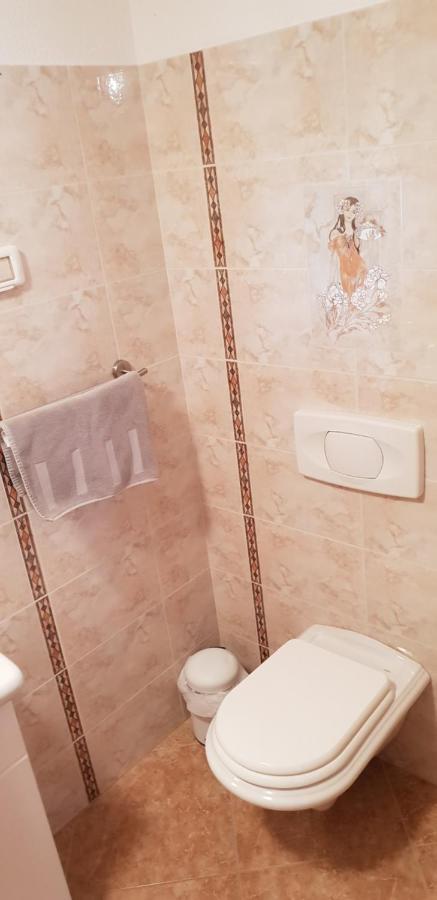 Apartmani Citrus Novigrad Filipac 외부 사진