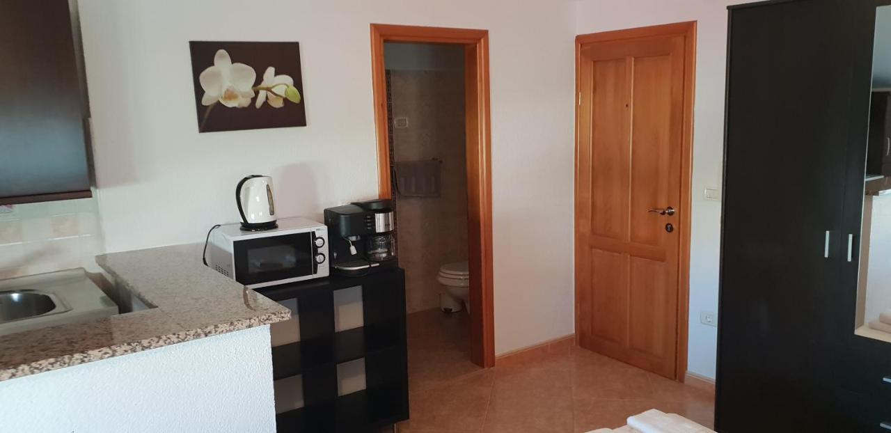 Apartmani Citrus Novigrad Filipac 외부 사진