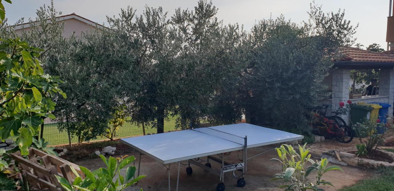 Apartmani Citrus Novigrad Filipac 외부 사진
