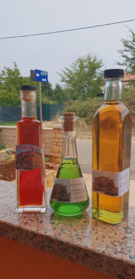Apartmani Citrus Novigrad Filipac 외부 사진