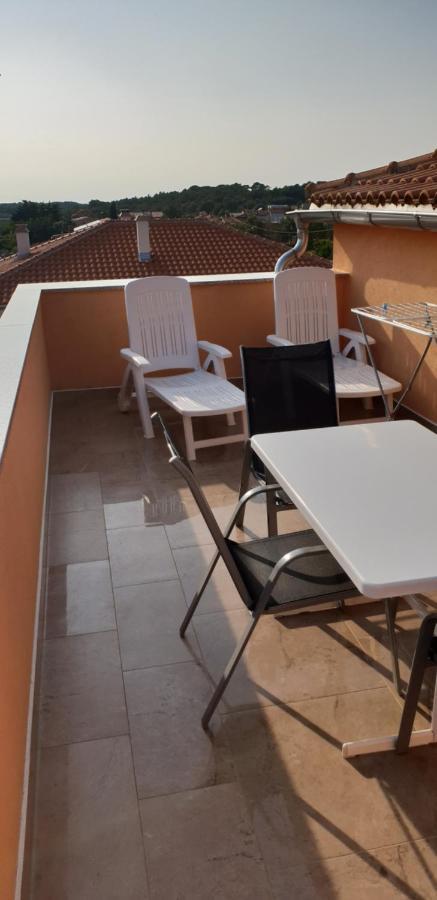 Apartmani Citrus Novigrad Filipac 외부 사진