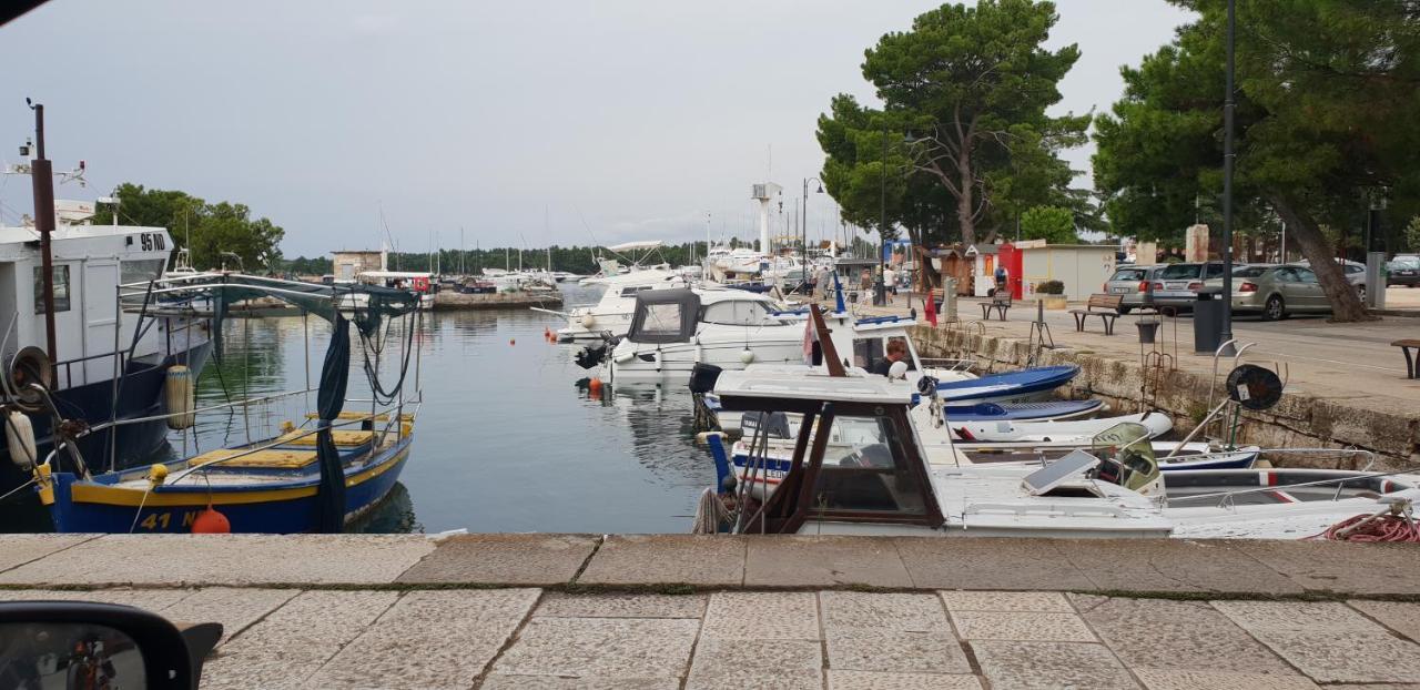 Apartmani Citrus Novigrad Filipac 외부 사진